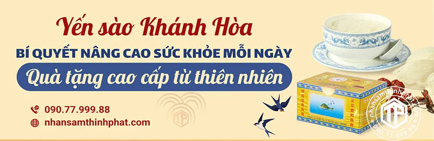 Yến Sào Khánh Hòa - Bí Quyết Nâng Cao Sức Khỏe Mỗi Ngày Yến Sào Khánh Hòa - Bí Quyết Nâng Cao Sức Khỏe Mỗi Ngày