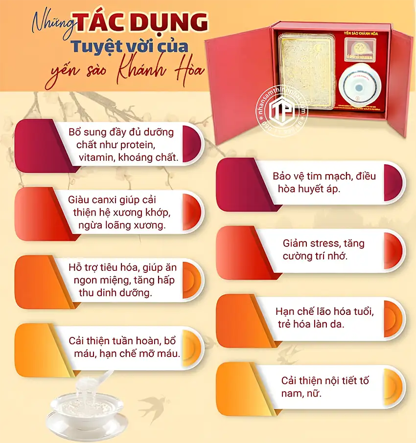 Những Tác Dụng Tuyệt Vời Của Yến Sào Khánh Hòa Những Tác Dụng Tuyệt Vời Của Yến Sào Khánh Hòa