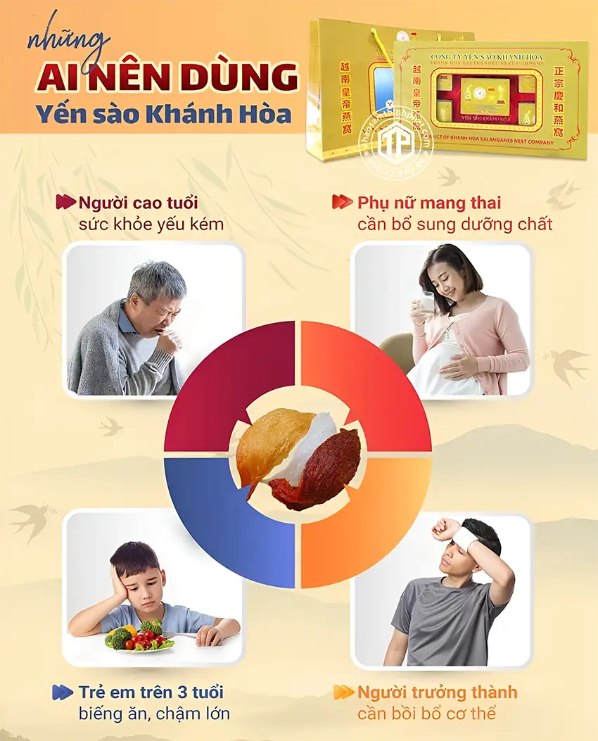 Những Ai Nên Dùng Yến Sào Khánh Hòa Những Ai Nên Dùng Yến Sào Khánh Hòa