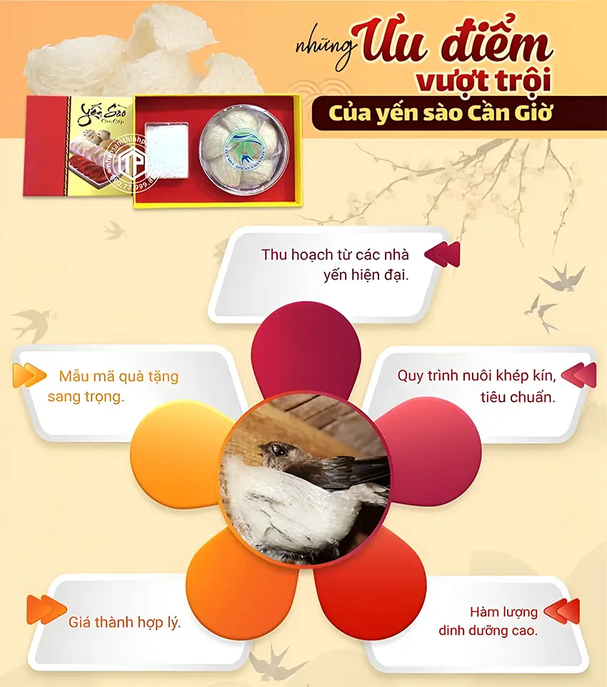 Những Ưu Điểm Vượt Trội Của Yến Sào Cần Giờ