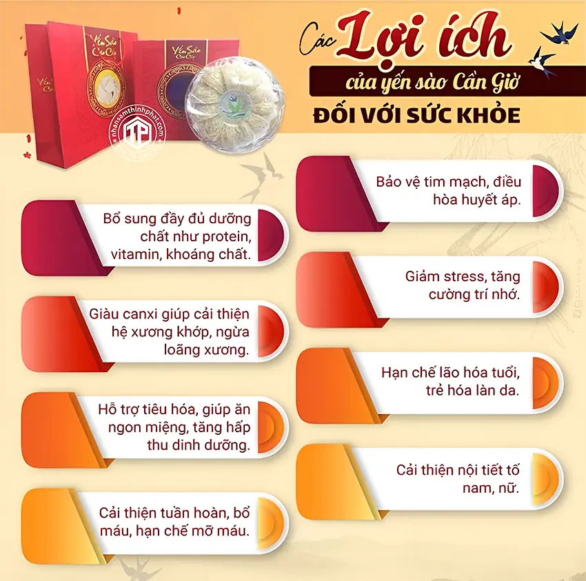 Các Lợi Ích Của Yến Sào Cần Giờ Đối Với Sức Khỏe