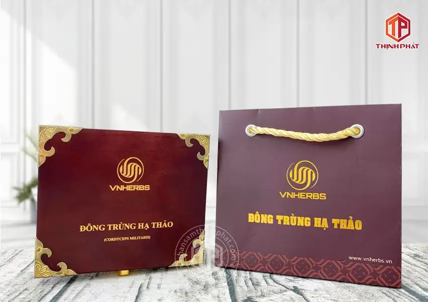 Con đông trùng hạ thảo ký chủ Việt Nam hộp 40 con Con đông trùng hạ thảo ký chủ Việt Nam hộp 40 con