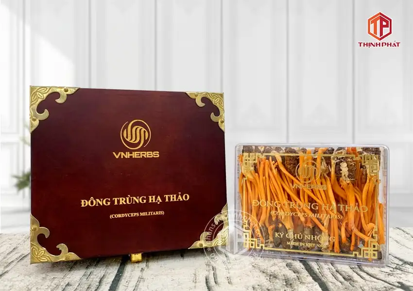 Con đông trùng hạ thảo ký chủ Việt Nam hộp 40 con Con đông trùng hạ thảo ký chủ Việt Nam hộp 40 con