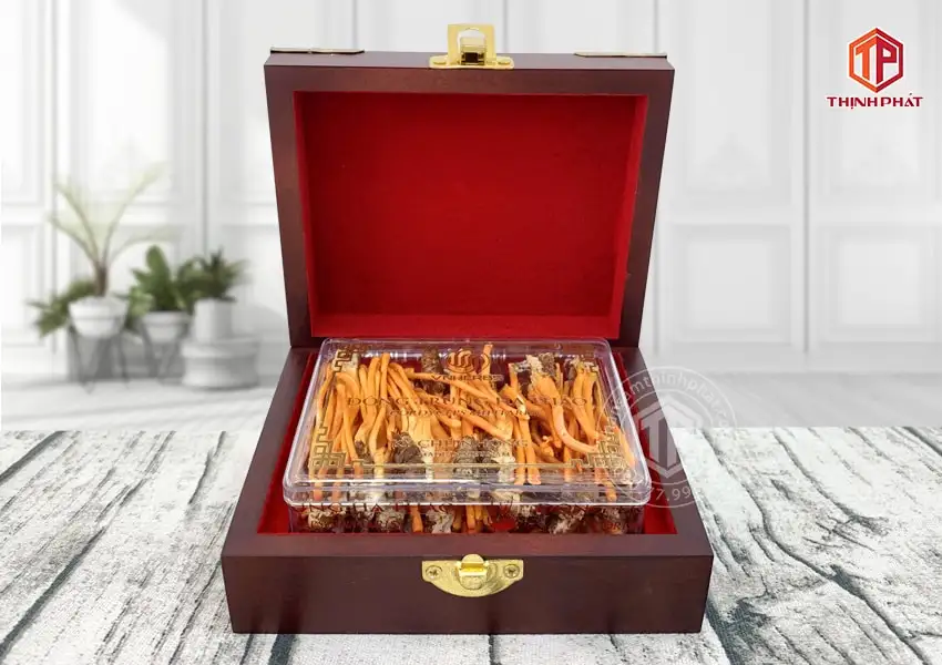 Con đông trùng hạ thảo ký chủ Việt Nam hộp 40 con Con đông trùng hạ thảo ký chủ Việt Nam hộp 40 con