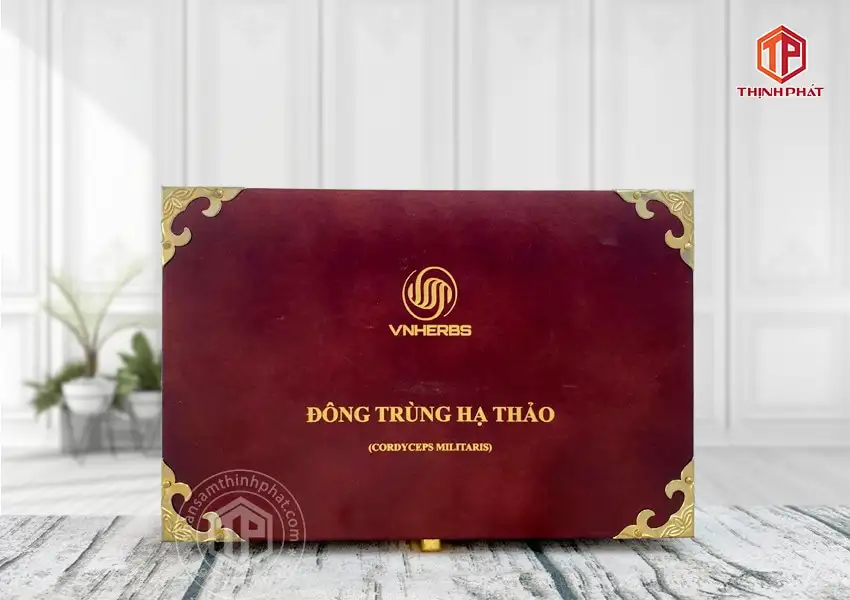 Con đông trùng hạ thảo ký chủ Việt Nam hộp 80 con Con đông trùng hạ thảo ký chủ Việt Nam hộp 80 con