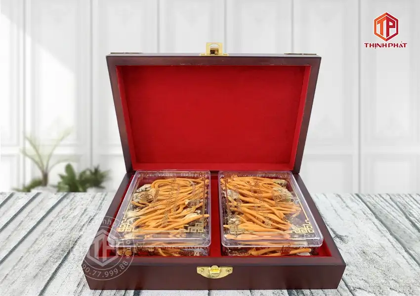 Con đông trùng hạ thảo ký chủ Việt Nam hộp 80 con Con đông trùng hạ thảo ký chủ Việt Nam hộp 80 con