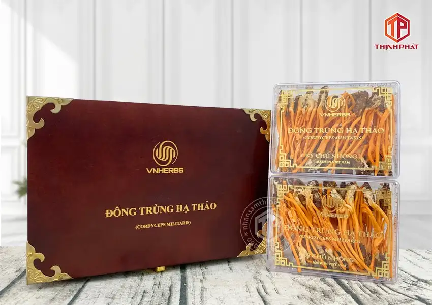 Con đông trùng hạ thảo ký chủ Việt Nam hộp 80 con Con đông trùng hạ thảo ký chủ Việt Nam hộp 80 con