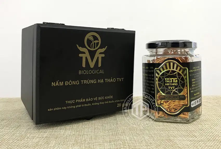 Đông Trùng Hạ Thảo Khô Việt Nam Hộp 20g Đông Trùng Hạ Thảo Khô Việt Nam Hộp 20g