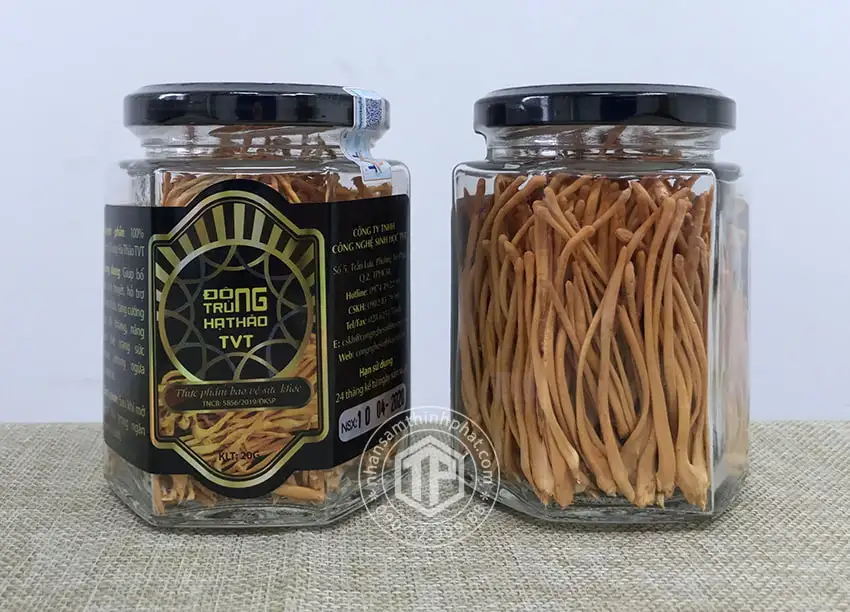 Đông Trùng Hạ Thảo Khô Việt Nam Hộp 20g Đông Trùng Hạ Thảo Khô Việt Nam Hộp 20g