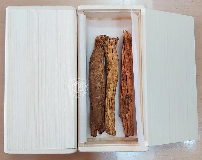 Hồng sâm củ khô 6 năm tuổi 37,5g hộp thiếc chính hãng Daedong Hàn Quốc