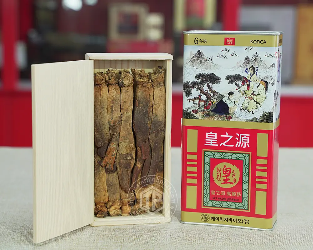 Hồng sâm củ khô hộp thiếc HG Bio 300g 10 củ Chính hãng Hàn Quốc