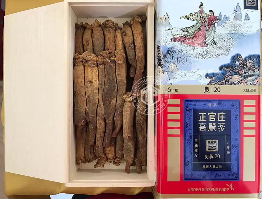 Hồng sâm củ khô KGC 600g 28 củ 20PCS Sâm chính phủ Jung Kwan Jang