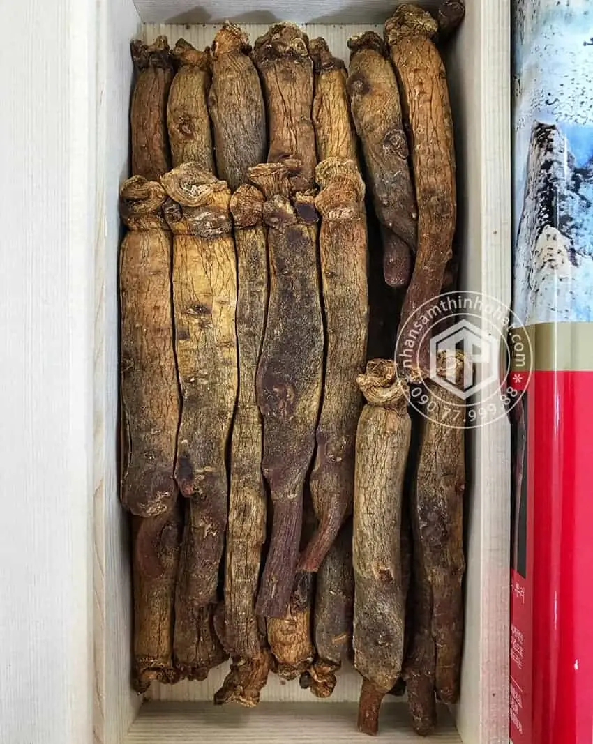 Hồng sâm củ khô KGC 600g 28 củ 20PCS Sâm chính phủ Jung Kwan Jang