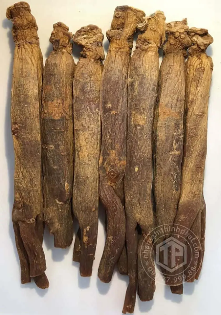 Thiên sâm chính phủ KGC Jung Kwan Jang thượng hạng Heaven 150g 20PCS 7 củ