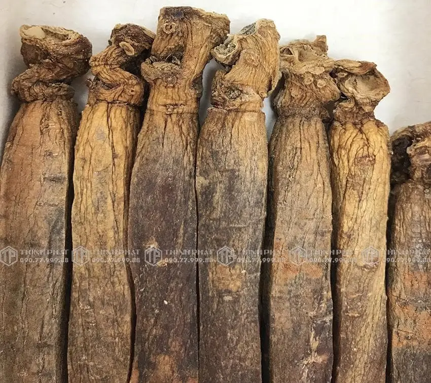 Thiên sâm chính phủ KGC Jung Kwan Jang thượng hạng Heaven 150g 20PCS 7 củ