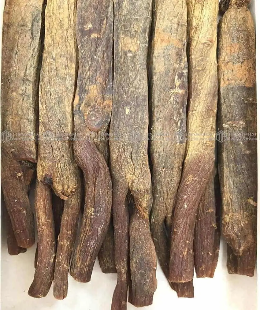 Thiên sâm chính phủ KGC Jung Kwan Jang thượng hạng Heaven 150g 20PCS 7 củ