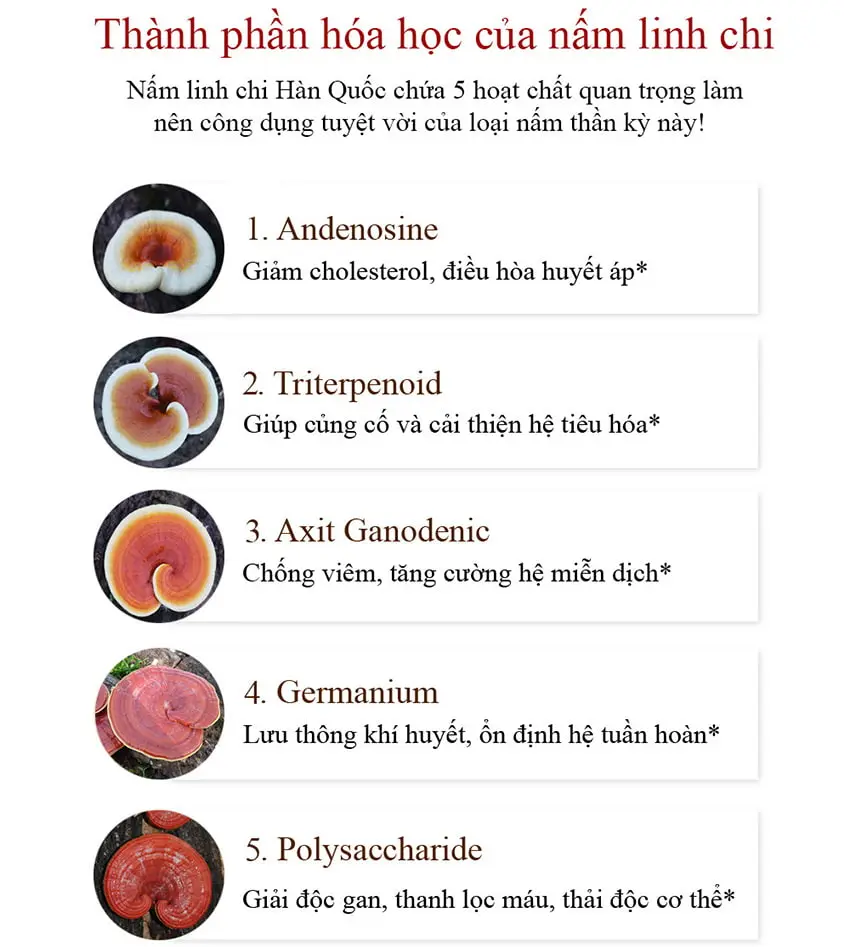 Thành phần Nấm linh chi Hàn Quốc loại 1 - 1kg Thành phần Nấm linh chi Hàn Quốc loại 1 - 1kg