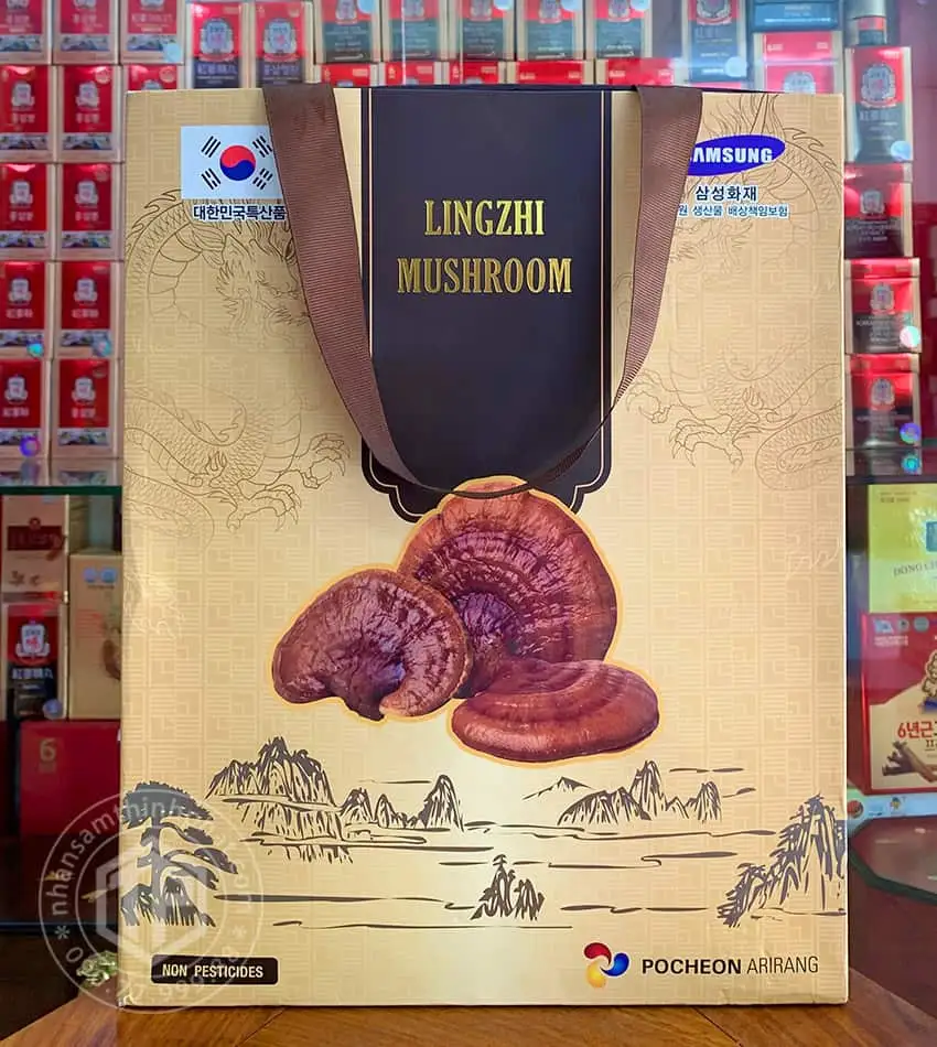Nấm linh chi Hàn Quốc Pocheon 1kg Nấm linh chi Hàn Quốc Pocheon 1kg