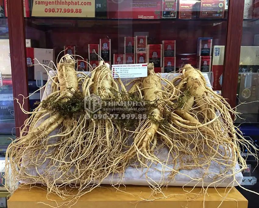Nhân sâm tươi Hàn Quốc 4 củ 1 kg