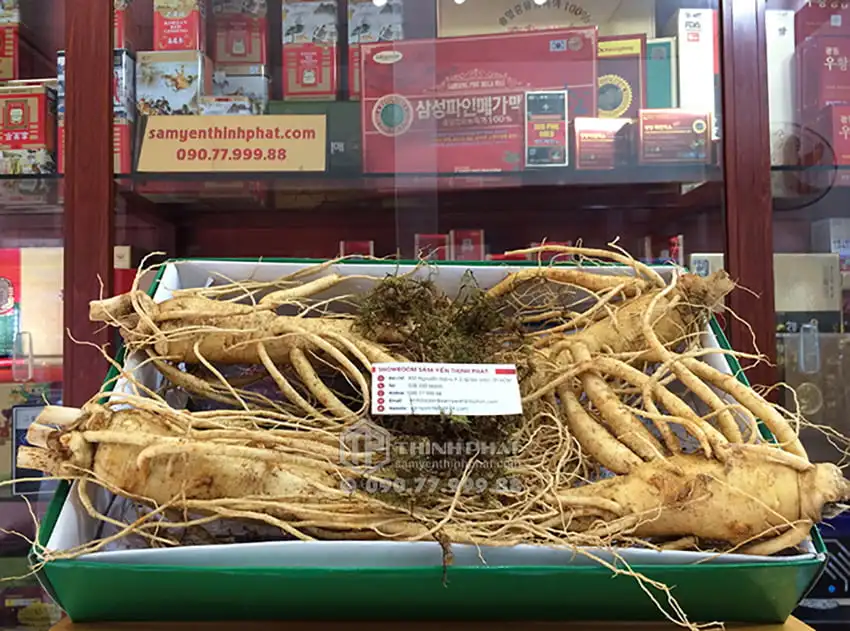 Nhân sâm tươi Hàn Quốc 4 củ 1 kg