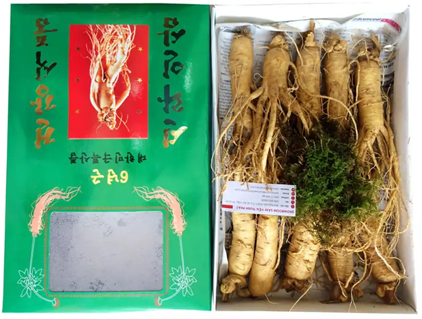 Nhân sâm tươi Hàn Quốc loại 10 củ 1 kg Nhân sâm tươi Hàn Quốc loại 10 củ 1 kg