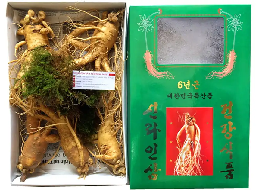 Nhân sâm tươi Hàn Quốc loại 5 củ 1 kg Nhân sâm tươi Hàn Quốc loại 5 củ 1 kg