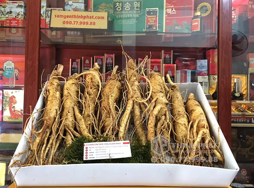 Nhân sâm tươi Hàn Quốc loại 8 củ 1 kg