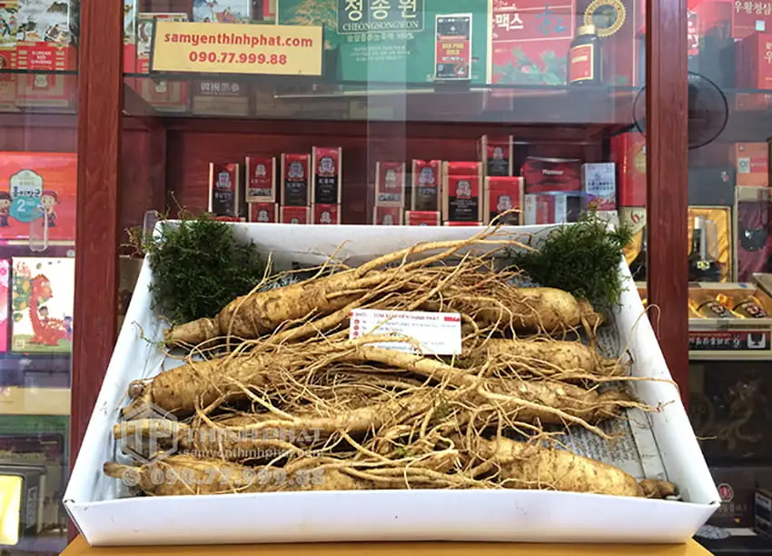 Nhân sâm tươi Hàn Quốc loại 8 củ 1 kg