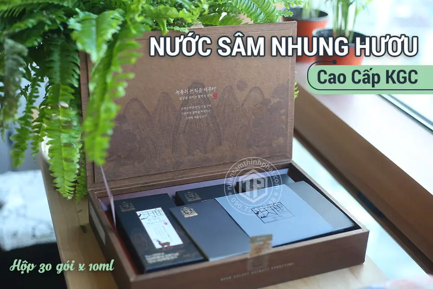 Nước sâm nhung hươu cao cấp KGC sâm chính phủ Jung Kwan Jang hộp 30 gói x 10ml Nước sâm nhung hươu cao cấp KGC sâm chính phủ Jung Kwan Jang hộp 30 gói x 10ml