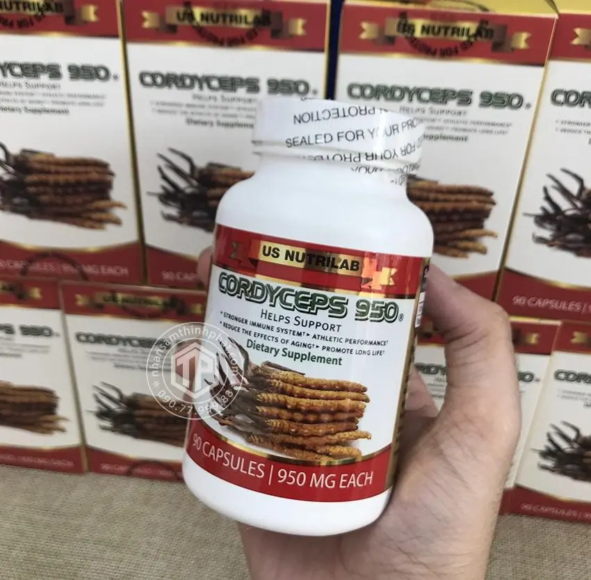 Đông trùng hạ thảo Cordyceps 950 của Mỹ hộp 90 viên Đông trùng hạ thảo Cordyceps 950 của Mỹ hộp 90 viên
