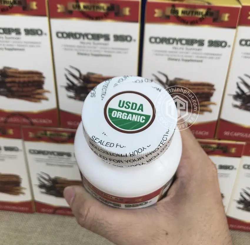 Đông trùng hạ thảo Cordyceps 950 của Mỹ hộp 90 viên Đông trùng hạ thảo Cordyceps 950 của Mỹ hộp 90 viên