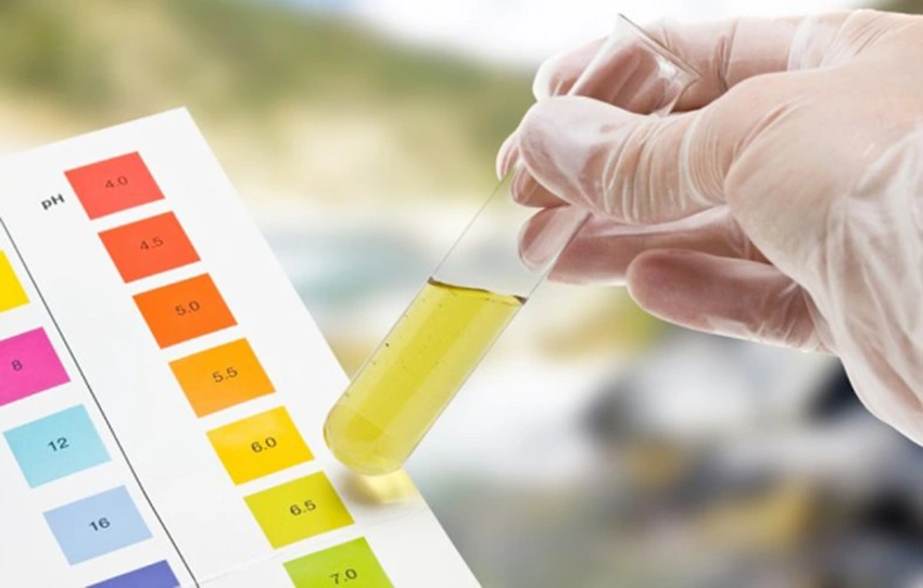 Xét nghiệm chức năng thận Xét nghiệm chức năng thận