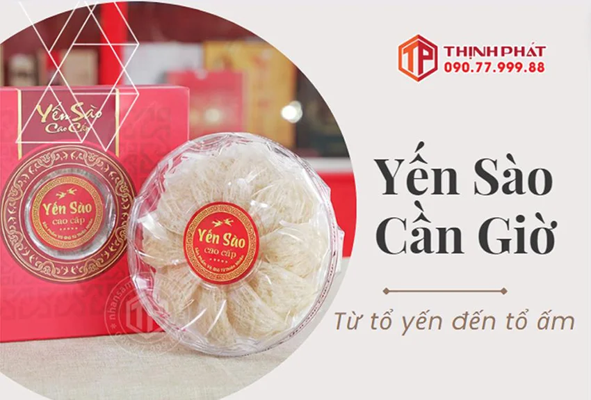 Yến Sào Cần Giờ. Từ Tổ Yến Đến Tổ Ấm Yến Sào Cần Giờ. Từ Tổ Yến Đến Tổ Ấm