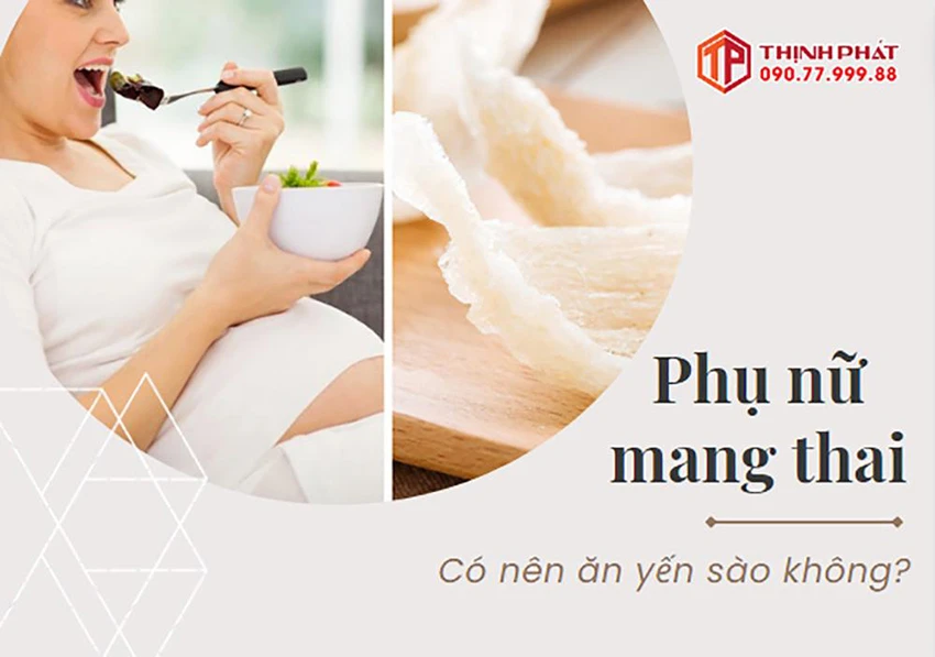 Phụ nữ mang thai có nên ăn yến sào? Phụ nữ mang thai có nên ăn yến sào?