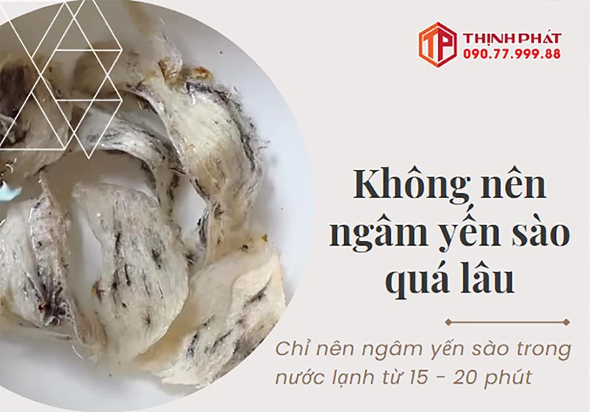 Không nên ngâm yến sào quá lâu. Chỉ nên ngâm yến sào trong nước lạnh từ 15 - 20 phút Không nên ngâm yến sào quá lâu. Chỉ nên ngâm yến sào trong nước lạnh từ 15 - 20 phút