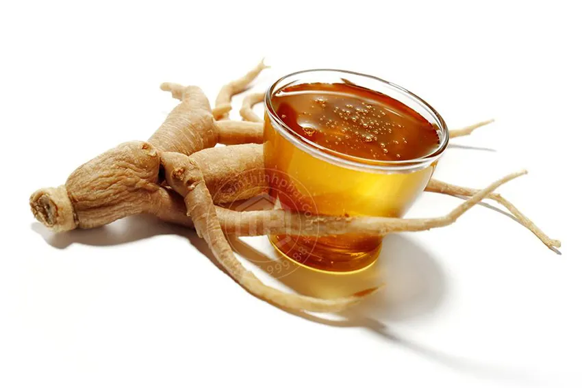 Sâm ngâm mật ong là một sự kết hợp hoàn hảo giúp cải thiện sức khỏe Sâm ngâm mật ong là một sự kết hợp hoàn hảo giúp cải thiện sức khỏe