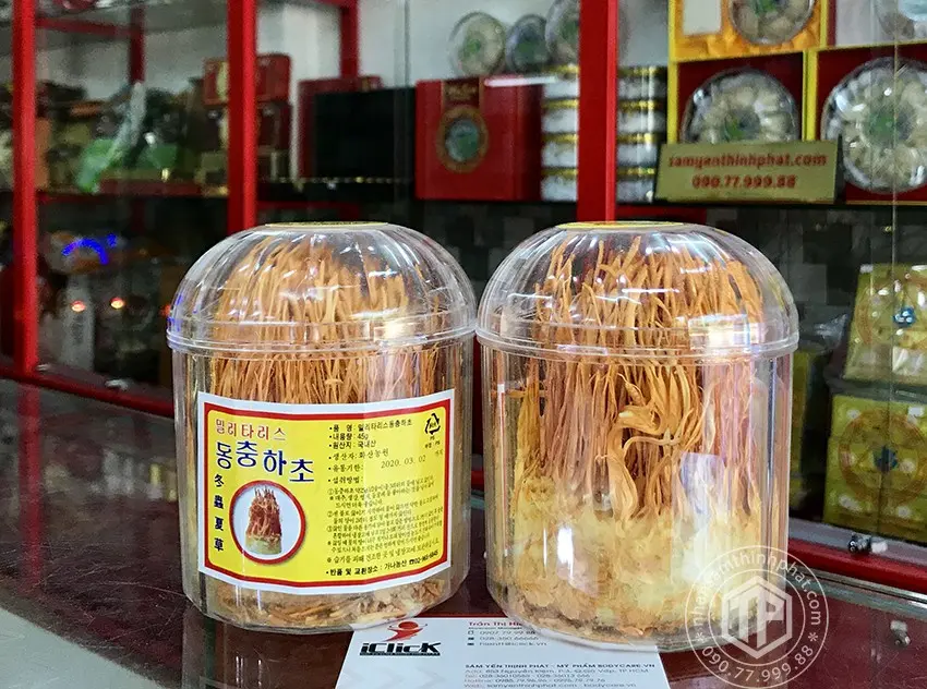 Đông trùng hạ thảo Hàn Quốc lọ 45g Đông trùng hạ thảo Hàn Quốc lọ 45g